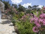 Gardens Gardens